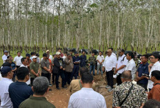 PTPN I Perkuat Produksi Karet Lewat Standarisasi Operasional Antarregional