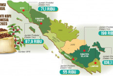 Memacu Ekonomi Lokal dengan Hilirisasi Industri Kopi, Angkat Brand Kopi Sumsel