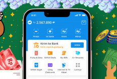 Saldo DANA 2025, Cara Baru Kelola Uang Harian Lebih Praktis