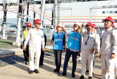 PLN Perkuat Sistem Kelistrikan Sumsel 