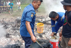 Pondok di Tengah Hutan Ludes Terbakar, Ayah dan Anak Ditemukan Tewas Mengenaskan