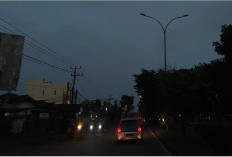 Peringatan 20 Tahun Earth Hour, Ajak Jutaan Orang di 180 Negara 1 Jam Hemat Energi