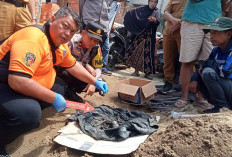 Heboh Penemuan Tulang Belulang di 16 Ulu, Polisi Pastikan Bukan Kerangka Bayi