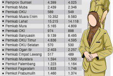 65.239 Pendaftar Submit, Tetap Ada Formasi Kosong. Rebut 4.564 Formasi se-Sumsel