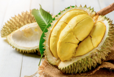 Jangan Makan Buah Durian Berlebih, Ini yang Bisa Terjadi