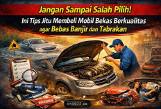 Jangan Sampai Salah Pilih! Ini Tips Jitu Membeli Mobil Bekas Berkualitas agar Bebas Banjir dan Tabrakan