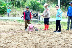 Desa Sanding Marga Tanam Jagung di Lahan 1 Hektare Gunakan Alat Modern Dukung Ketahanan Pangan
