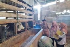 Pastikan Stok Bapokting Aman dan Hewan Kurban Sehat