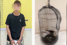 Kawanan Pencuri Burung Kutilang Dipergoki Warga, Merengek Minta Dilepas