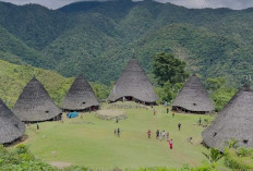 Keindahan NTT yang Belum Banyak Diketahui: Jelajahi Pulau Mules dan Pantai Dintor