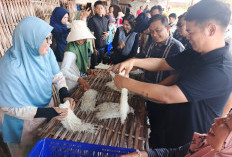 Juri Verifikasi 17 Kampung Wisata Palembang, Dinas Pariwisata Pastikan Potensi Sesuai Kondisi Lapangan