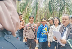 Dinas Pertanahan Janji Segera Tindaklanjuti Penutupan Parit Gajah