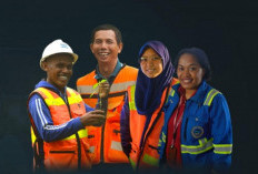 Mau Kerja di BUMN PT Freeport dan Pertamina? Ini 11 Jurusan Kuliah yang Paling Dicari