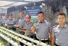  Budidaya Hidroponik  Libatkan Warga Binaan, Wujudkan Ketahanan Pangan