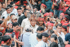 Hadir di Pontianak, Prabowo Disambut Meriah Tarian Baras Banyu dan Disematkan Topi Adat Dayak