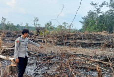 Ground Check Hotspot Cegah Karhutla Meluas