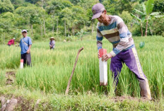 Pasang Patok, Cara Sederhana Cegah Sengketa Tanah dengan Tetangga