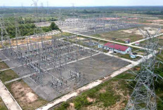 TKDN Capai 90 Persen, PLN Berhasil Operasikan SUTET 275 kV 