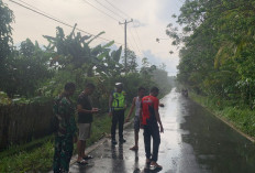 Kecelakaan Tabrak Lari di Prabumulih: Pengendara Motor Tewas Usai Ditabrak Mobil Triton