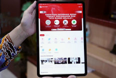 Cek Informasi Tanah Sebelum Membeli, Manfaatkan Fitur Berbagi Akses di Aplikasi Sentuh Tanahku