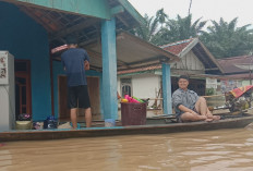 ASTAGA! Buaya Muncul Saat  Banjir Uluan Muratara, Kata Warga Terparah Dalam 20 Tahun Terakhir