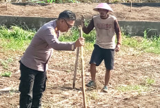 Menginspirasi Masyarakat Manfaatkan Lahan Kosong, Tinjau Lahan P2PL Binaan Polres Lubuklinggau