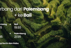 Penerbangan Langsung Palembang Bali Dimulai 20 November, Ini Jadwal Lengkapnya