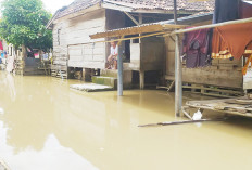 Warga Sekitar 3 DAS Diminta Waspada, Sebagian Wilayah Prabumulih, Mura, Muratara, dan OKI Terendam