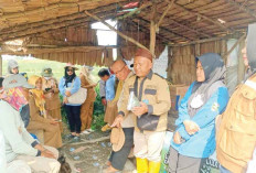 Cegah Potensi Serangan Hama Penyakit, Lakukan Gernang DPI