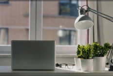 Minimalisme, Jalan Sunyi yang Dipilih Milenial untuk Hidup Lebih Tenang dan Bermakna