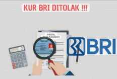 5 Kesalahan Fatal Ini Bikin Kur BRI Kamu Ditolak Padahal Cuma Karena Hal Sepele