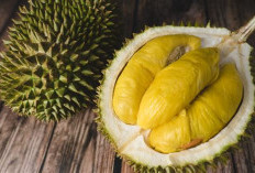 Disebut Sebagai Durian Paling Enak! Inilah Sejarah dan Harga Musang King