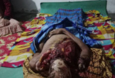 Niat Mencari Ikan, Warga Mura Ditemukan Tewas Diduga Diterkam Harimau