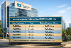 Tabel Pinjaman Non KUR BSI untuk PNS dan PPPK Januari 2025, Plafon Hingga Rp200 Juta