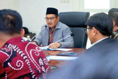 Capaian Positif, Targetkan PI Capai Rp240 Miliar di 2026