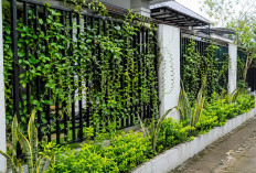 Gila! Cuma Pakai Tanaman Ini, Rumah Tipe 36 Langsung Kelihatan Seperti Villa Mahal!