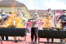 Pimpin Pemusnahan 200 Kg Ganja di Empat Lawang, Kapolda Sumsel: Generasi Muda Harus Bebas dari Bahaya Narkoba
