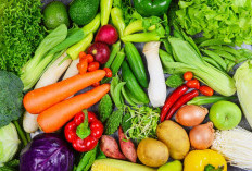 Ini Loh, 5 Makanan Sehat untuk Meningkatkan Energi dan Vitalitas di Usia 50an
