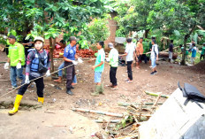 Bongkar Rumpun Bambu, Satria Belum Ditemukan