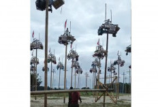 Bakal Jadi Pesta Rakyat Terbesar di Palembang! Festival Panjat Pinang 80 Pohon HUT RI ke-80 Sumatera Ekspres 