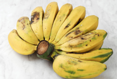  Ini Cara Mengolah Pisang Kepok Agar Bermanfaat Maksimal Bagi Tubuh