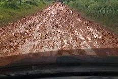 Jalan Berlumpur Desa Mekar Wangi Bahayakan Pengendara, Sekda Janji Perbaikan!