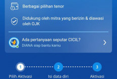Pinjaman Saldo DANA: Akses Dana Kilat, Skema Pengajuan, dan Risiko yang Perlu Diantisipasi