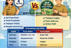 Gaji PPPK Paruh Waktu vs Penuh Waktu: Mana Lebih Menguntungkan? Ini Ulasan Lengkapnya