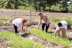 Kelola Lahan Tandus Jadi Produktif, Jadi Contoh untuk Desa Lain