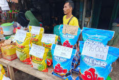 Harga Cabai Merah  50 Ribu, Cabai Burung 80 Ribu Jelang Bulan Ramadhan