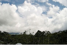 Lagi-lagi Gunung Dempo Erupsi, Statusnya Masih Waspada