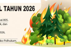 Sudah Terdata 805 Hotspot, Sumsel Tetapkan Siaga Karhutla, Masih Didominasi Pembukaan Lahan dengan Membakar