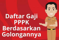 SIMAK! Gaji PPPK Terbaru Sesuai Golongan, Informasi Penting untuk Guru, Tenaga Kesehatan, dan Teknis