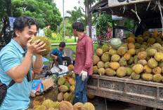6 Tips Memilih Buah Durian, Dijamin Dapet yang Matang dan Manis